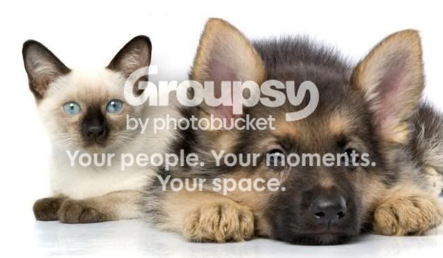 Photobucket