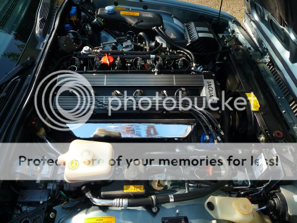 Autoglym engine bay cleaner and water? Detailing World Forum