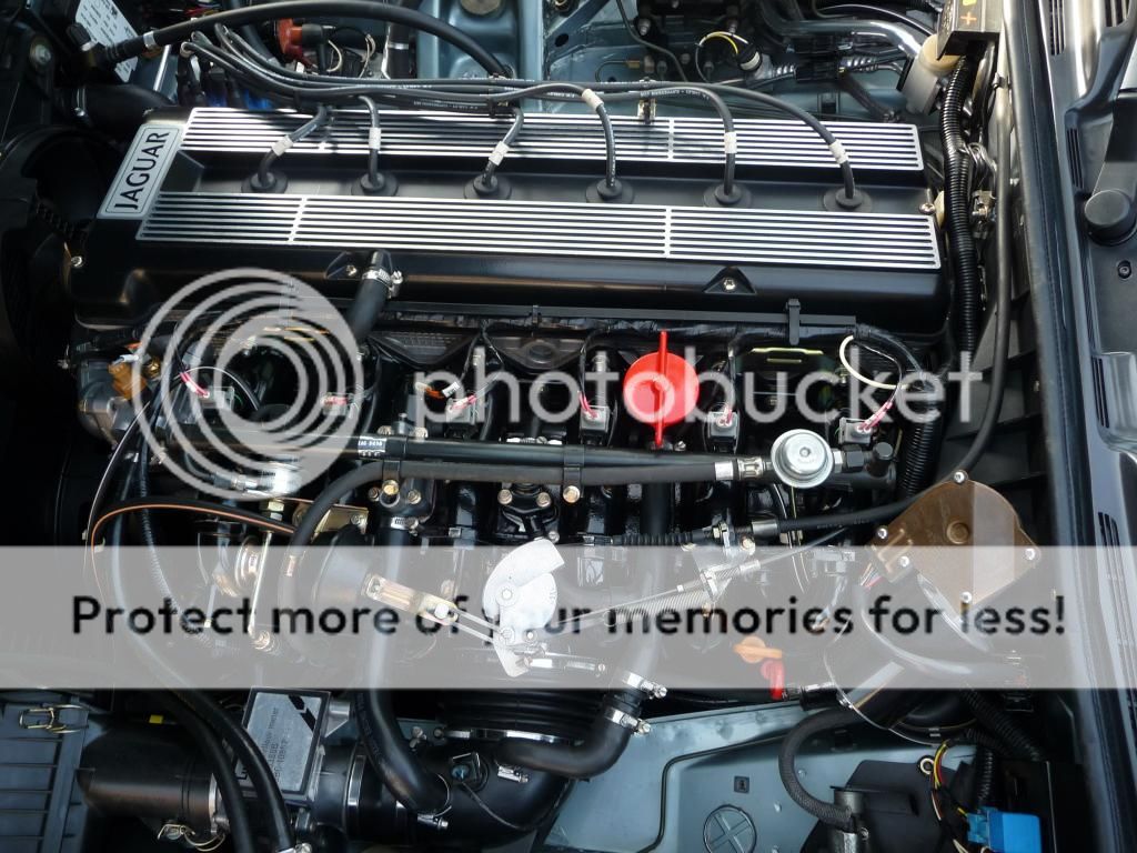 Autoglym engine bay cleaner and water? Detailing World Forum