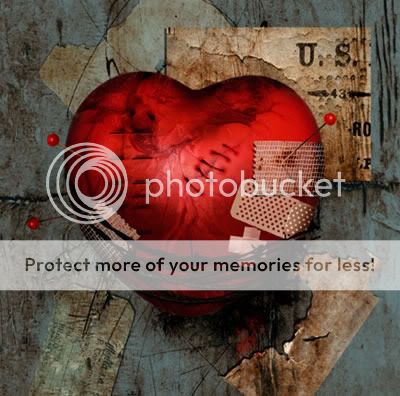 lan Pictures, Images and Photos