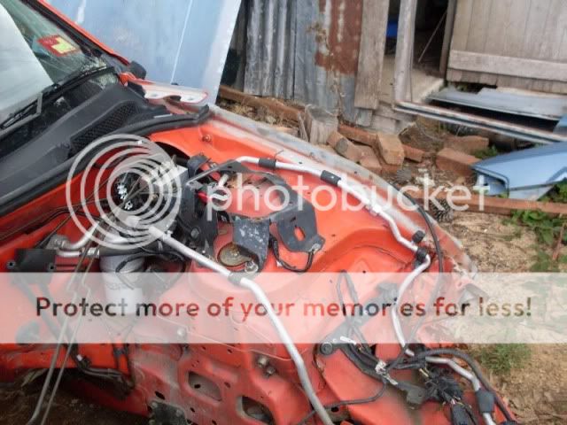 Posted Image