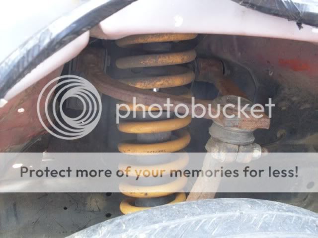 Posted Image
