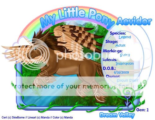 User Image