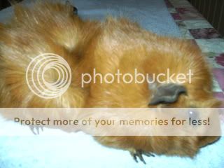 PICT2635.jpg